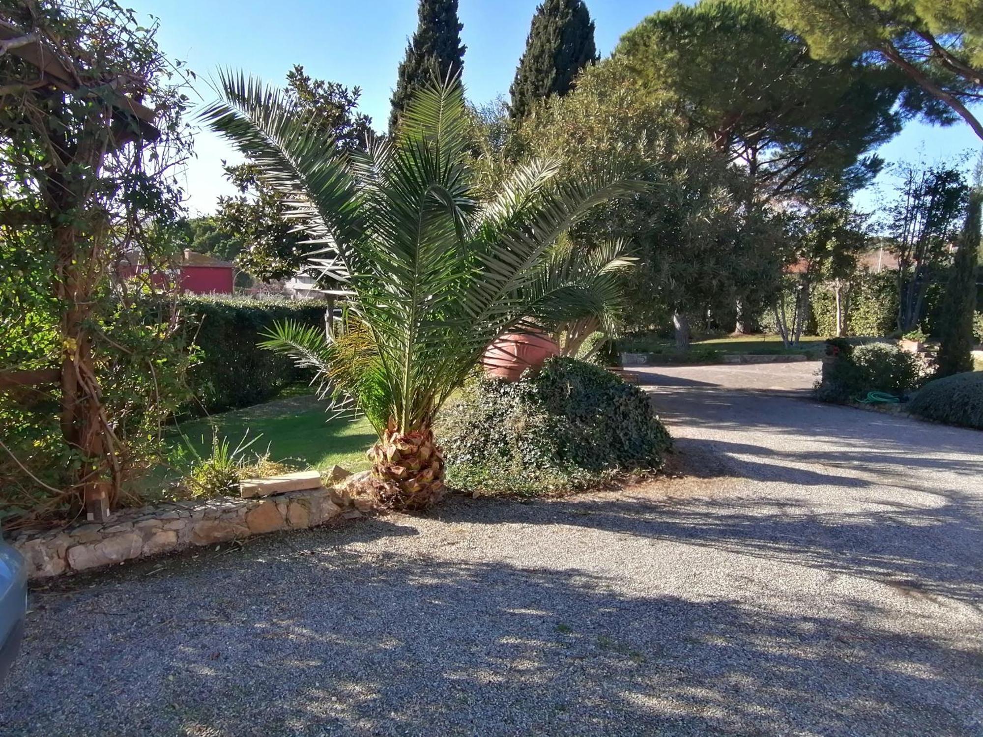 Affitti Brevi Toscana - Villa Simple Fonteblanda Exterior photo